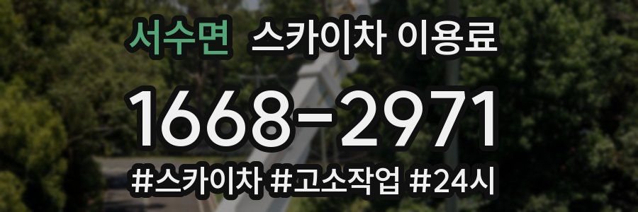 서수면 스카이차 이용료