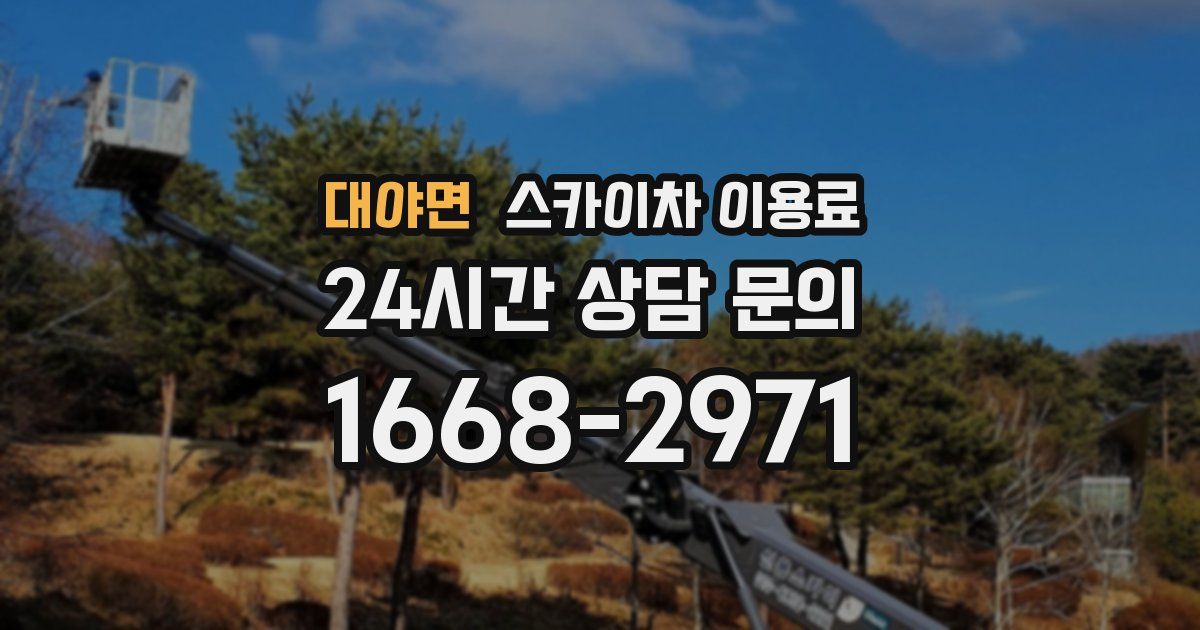 대야면 스카이차 이용료