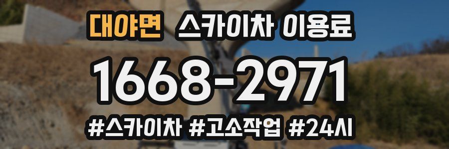 대야면 스카이차 이용료