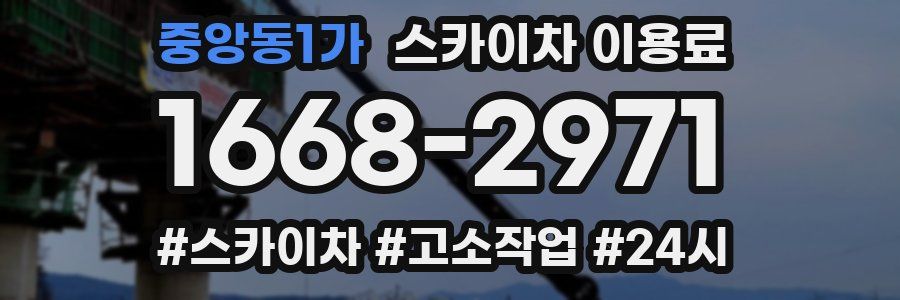 중앙동1가 스카이차 이용료