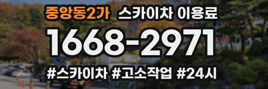 중앙동2가 스카이차 이용료