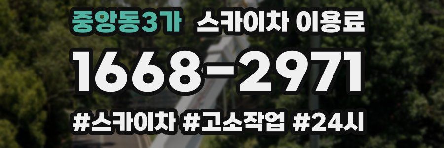 중앙동3가 스카이차 이용료