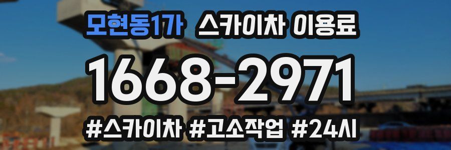모현동1가 스카이차 이용료