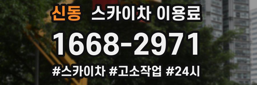 신동 스카이차 이용료