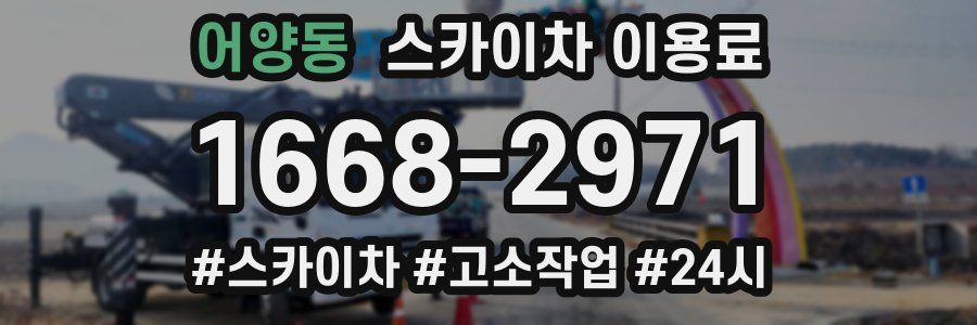 어양동 스카이차 이용료