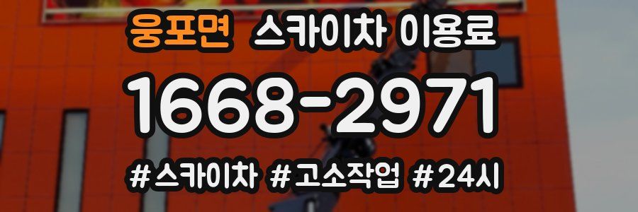 웅포면 스카이차 이용료