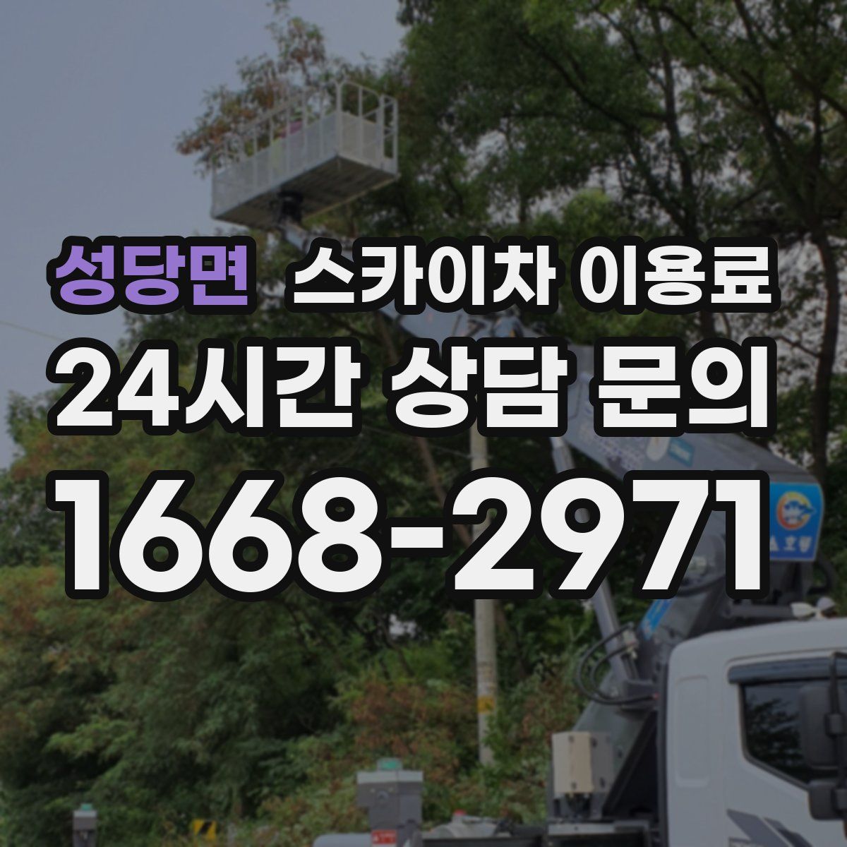 성당면 스카이차 이용료