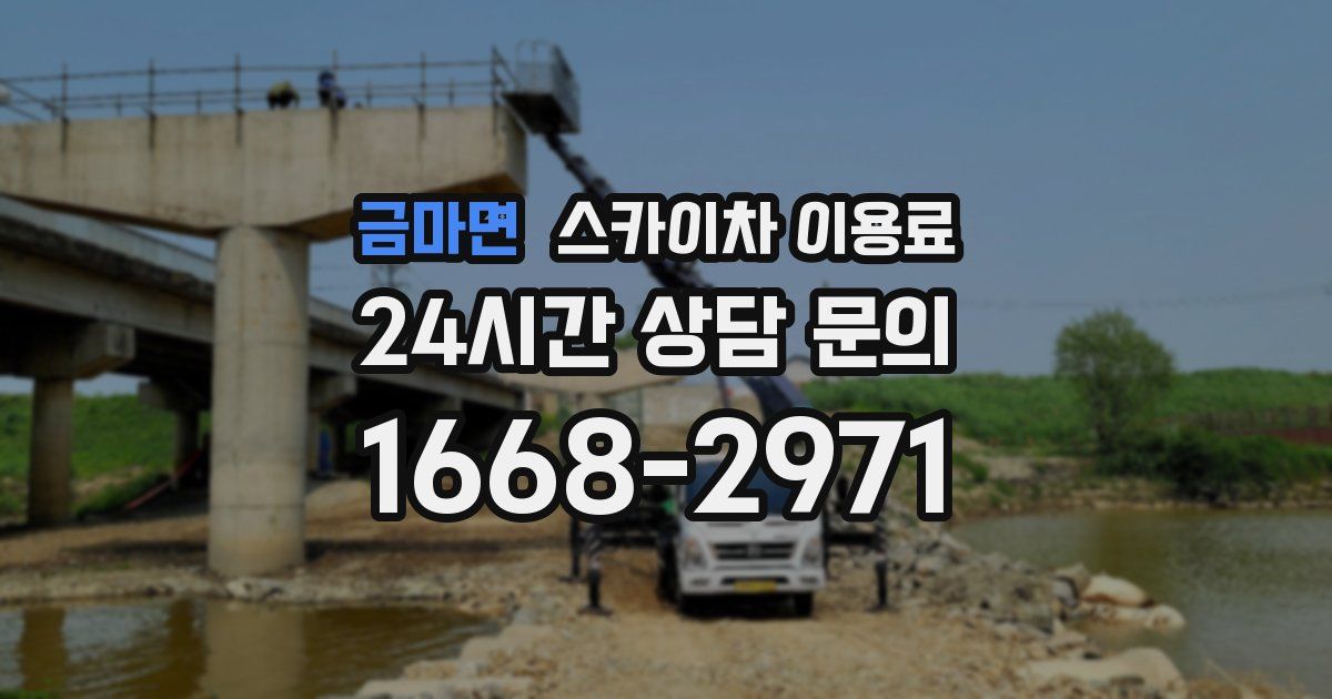 금마면 스카이차 이용료