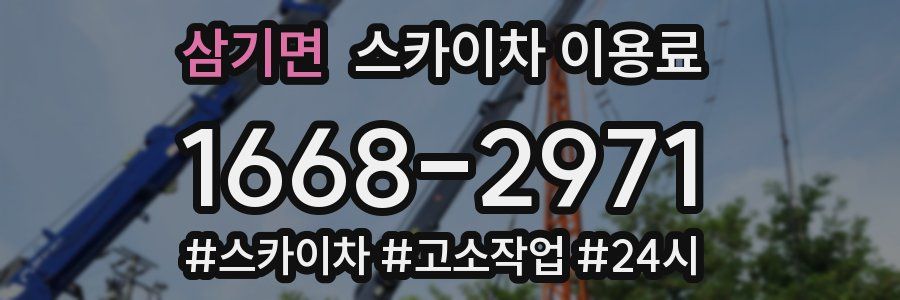 삼기면 스카이차 이용료