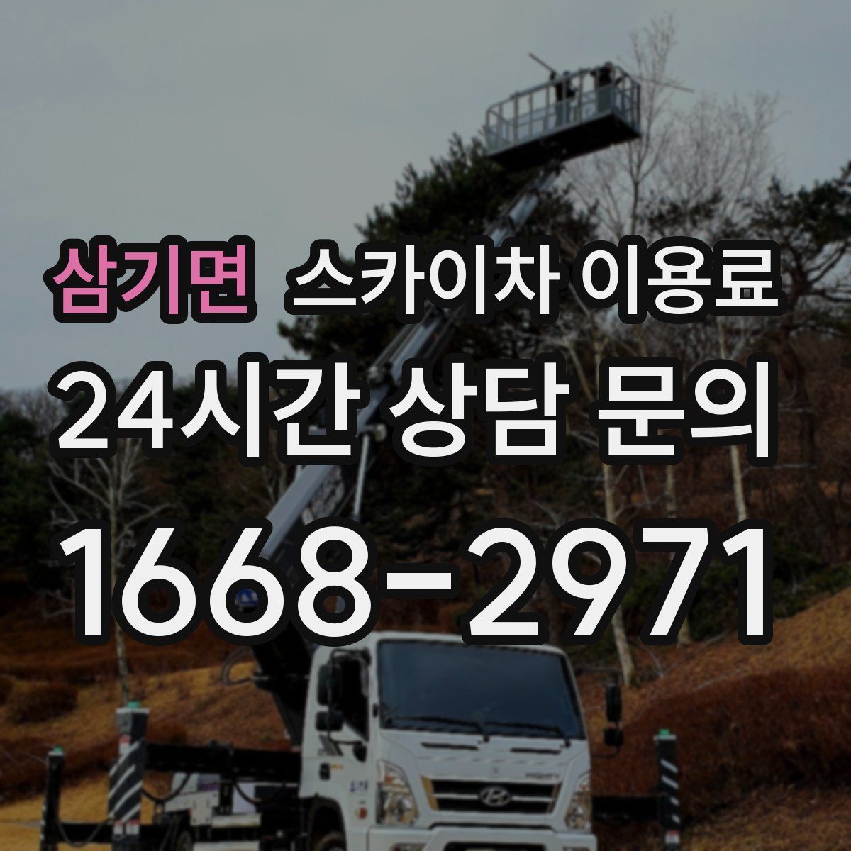 삼기면 스카이차 이용료