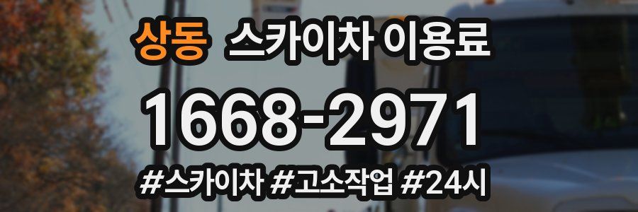 상동 스카이차 이용료
