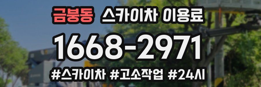 금붕동 스카이차 이용료