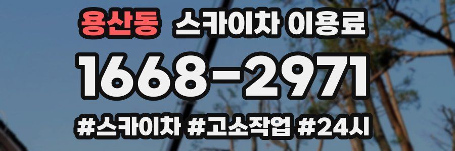 용산동 스카이차 이용료