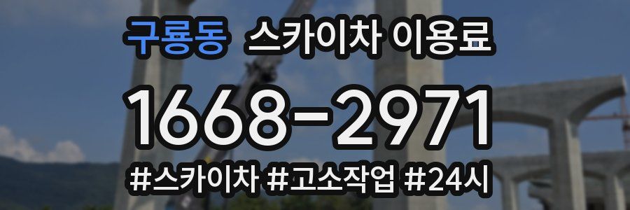 구룡동 스카이차 이용료