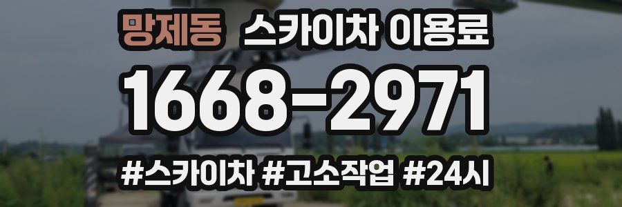 망제동 스카이차 이용료