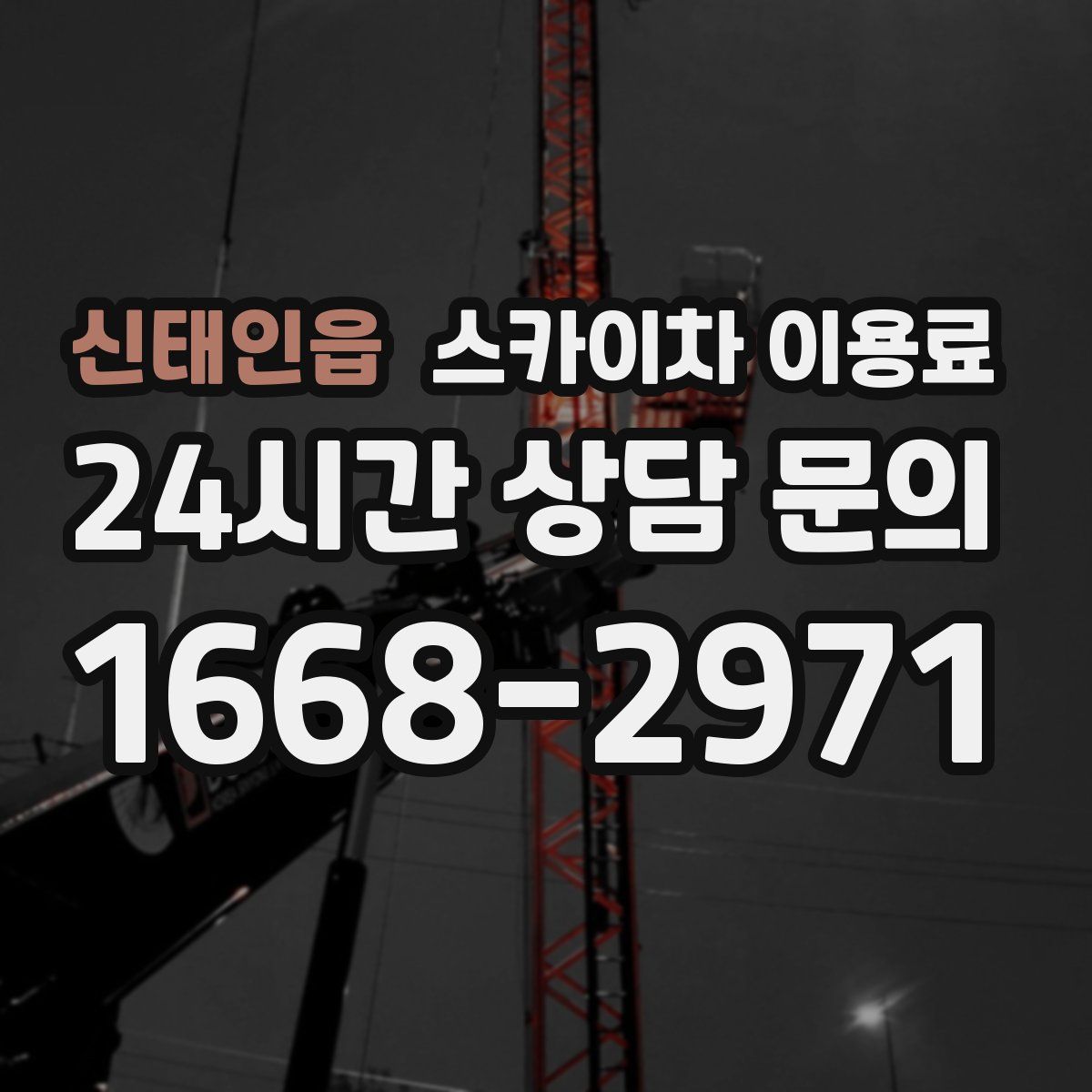 신태인읍 스카이차 이용료