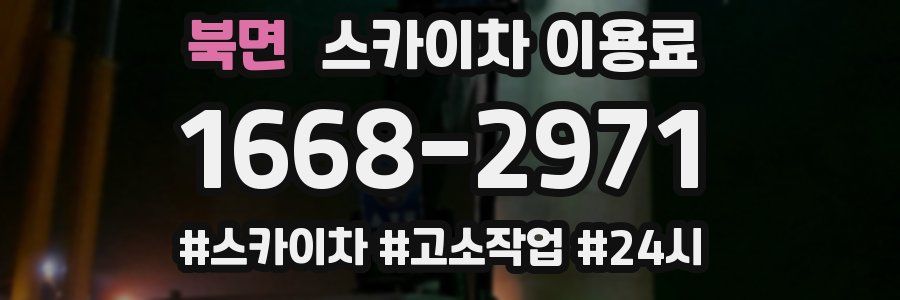 북면 스카이차 이용료