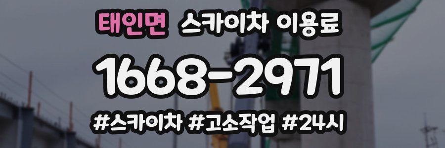 태인면 스카이차 이용료