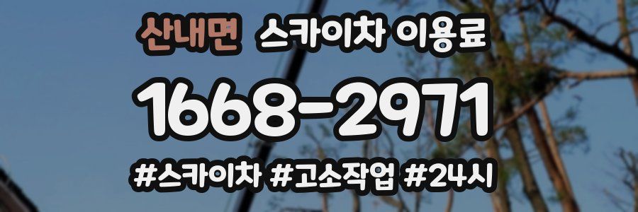 산내면 스카이차 이용료