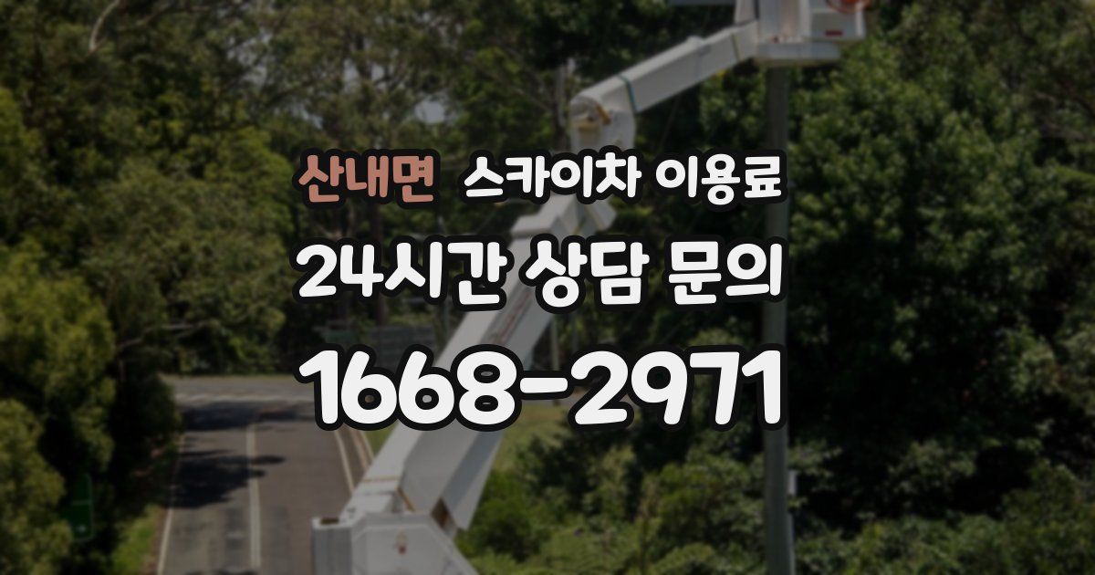 산내면 스카이차 이용료