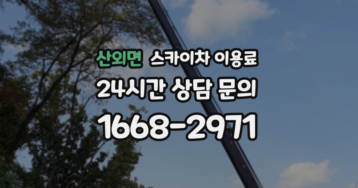 산외면 스카이차 이용료