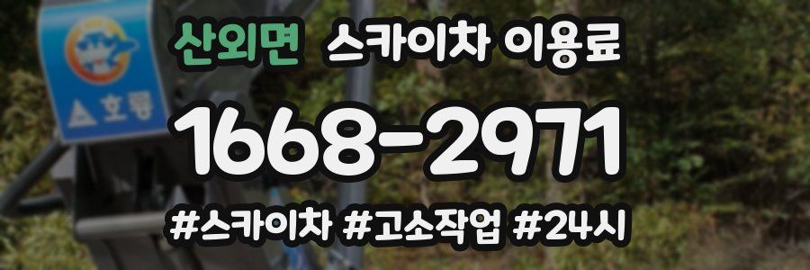 산외면 스카이차 이용료