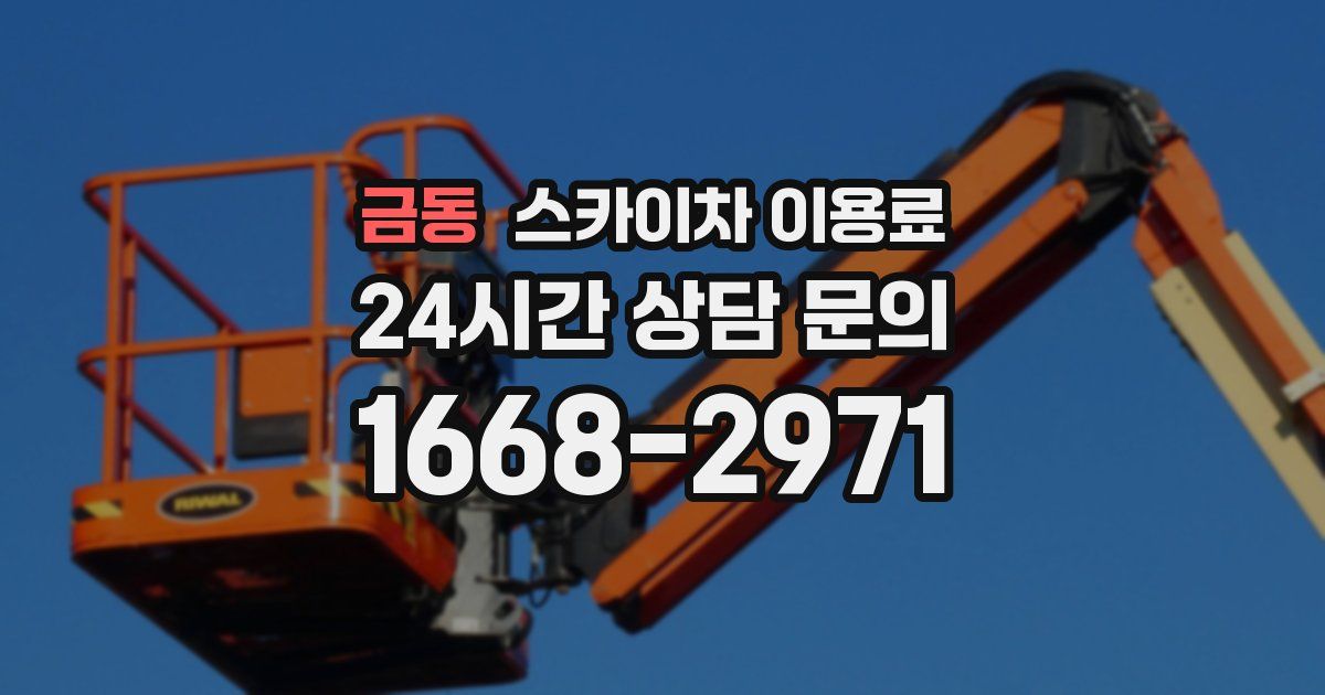 금동 스카이차 이용료