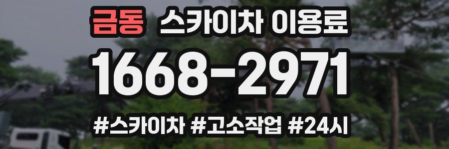 금동 스카이차 이용료