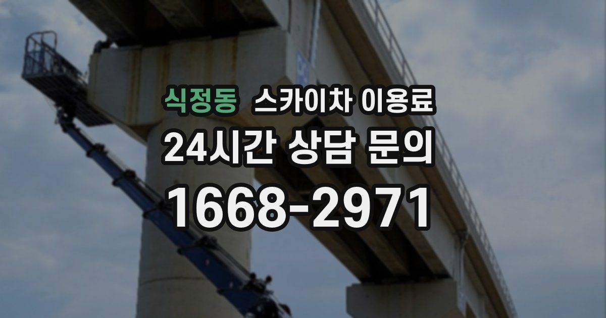 식정동 스카이차 이용료