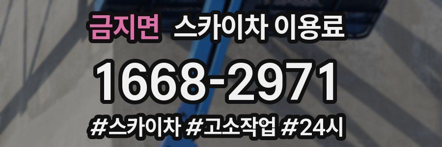 금지면 스카이차 이용료