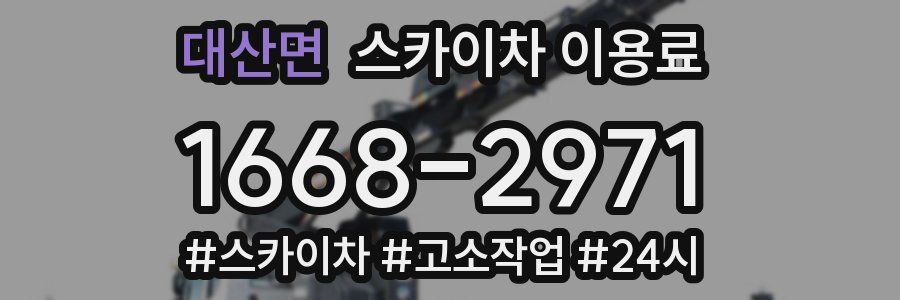 대산면 스카이차 이용료