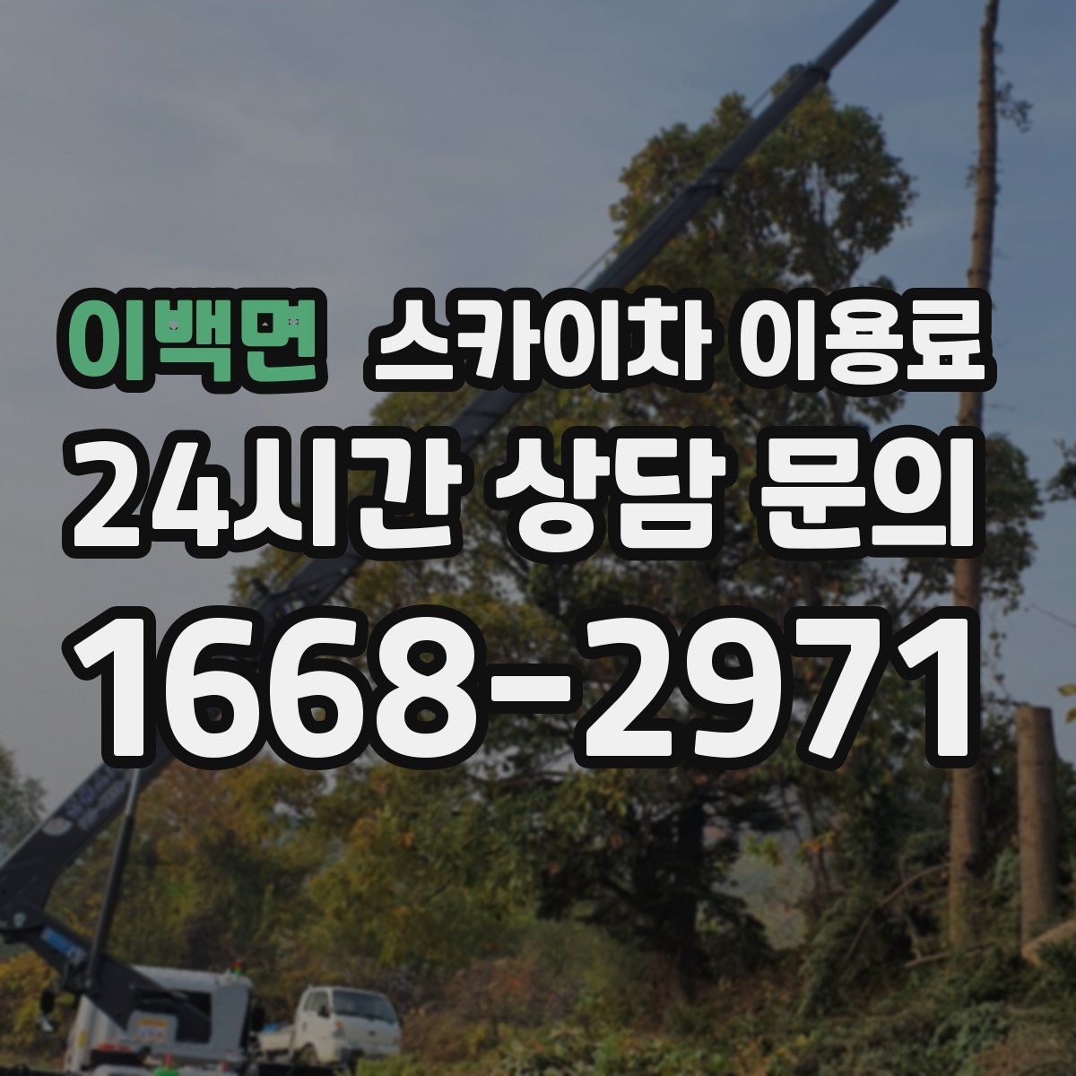 이백면 스카이차 이용료