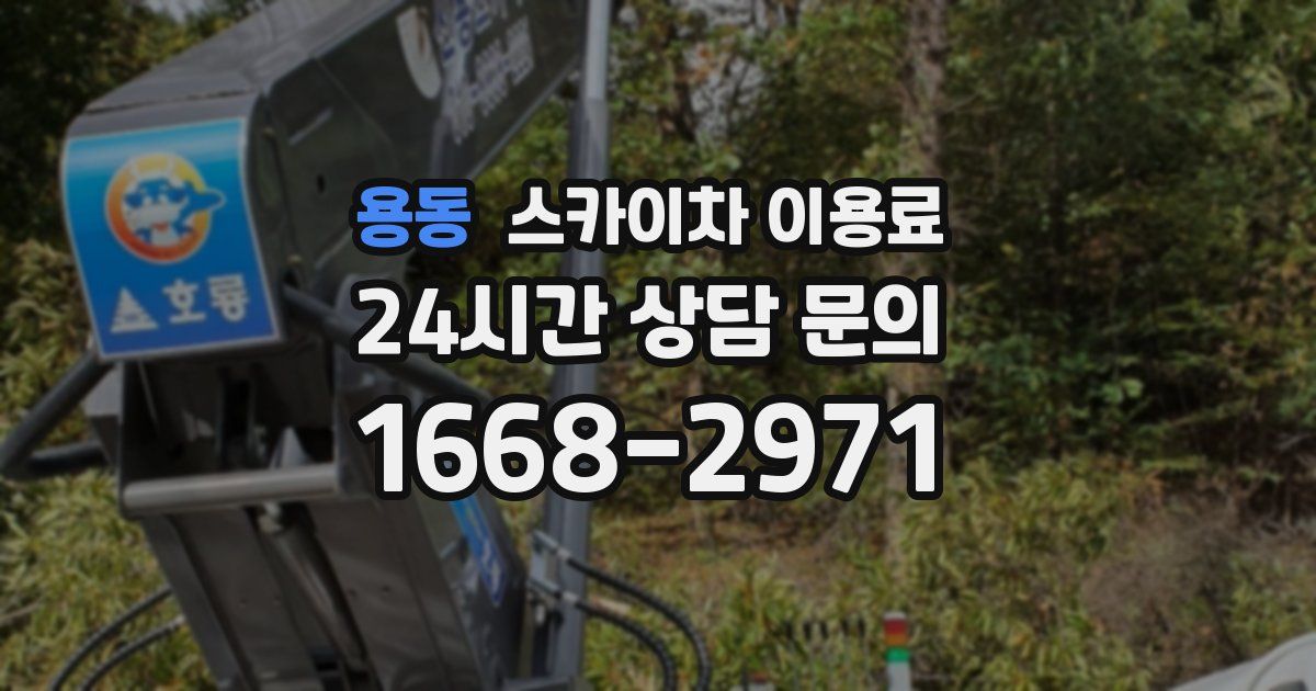 용동 스카이차 이용료