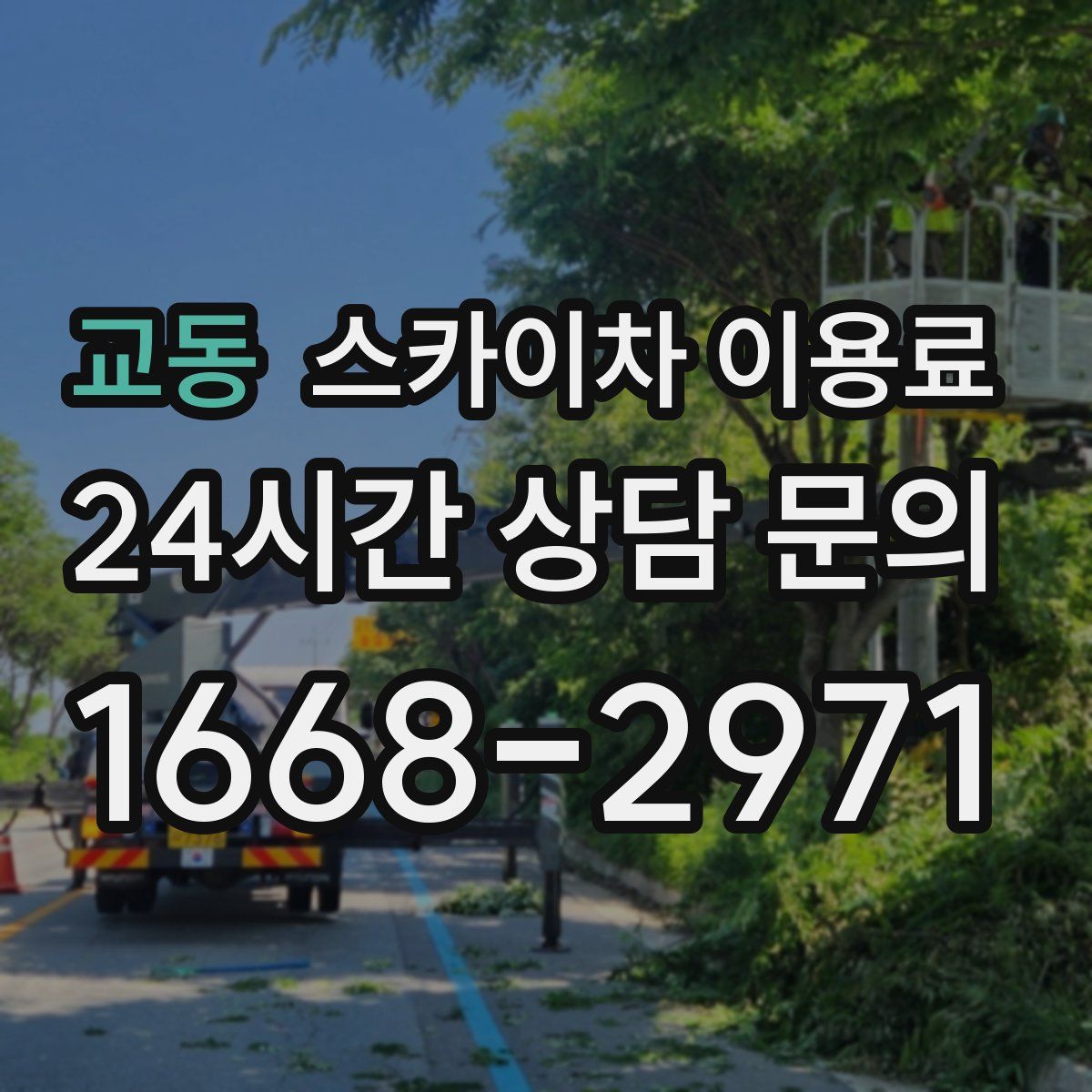 교동 스카이차 이용료