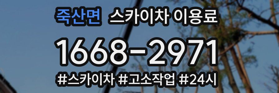 죽산면 스카이차 이용료