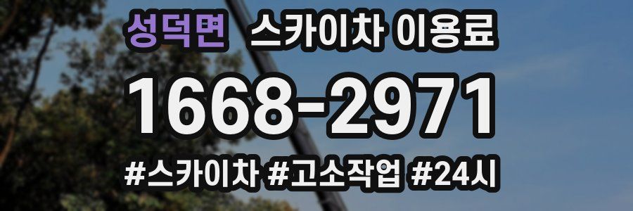 성덕면 스카이차 이용료