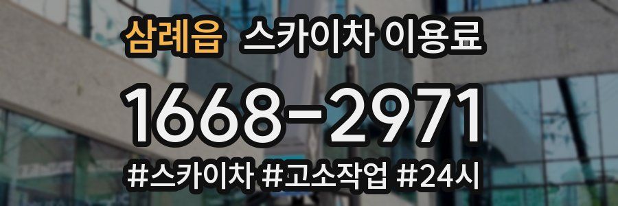 삼례읍 스카이차 이용료