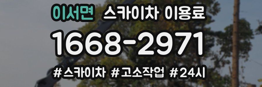 이서면 스카이차 이용료