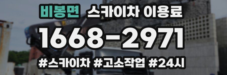 비봉면 스카이차 이용료