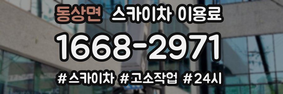 동상면 스카이차 이용료