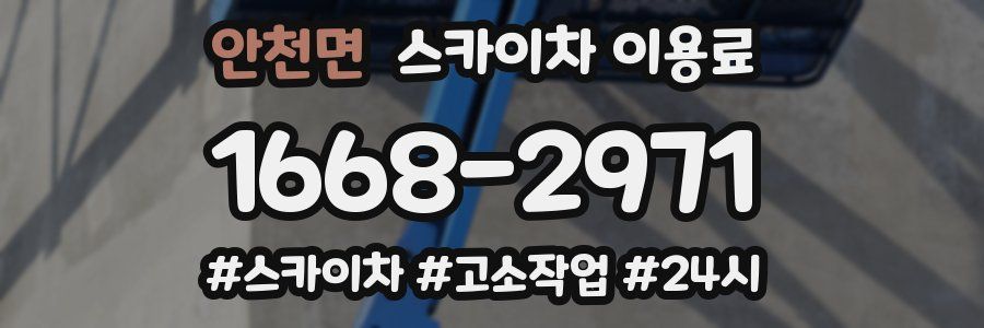 안천면 스카이차 이용료