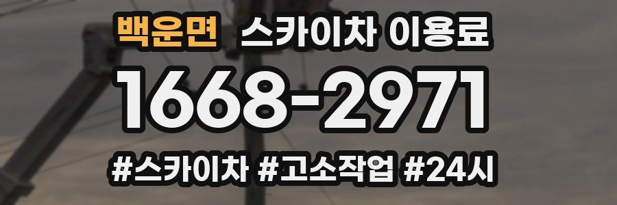 백운면 스카이차 이용료