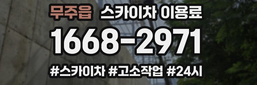 무주읍 스카이차 이용료