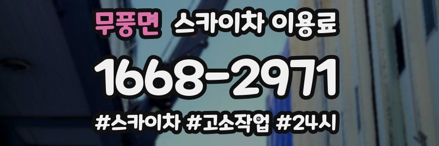 무풍면 스카이차 이용료