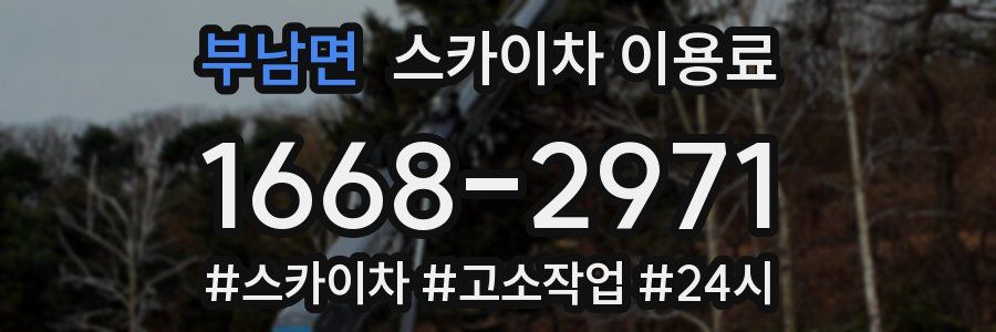 부남면 스카이차 이용료