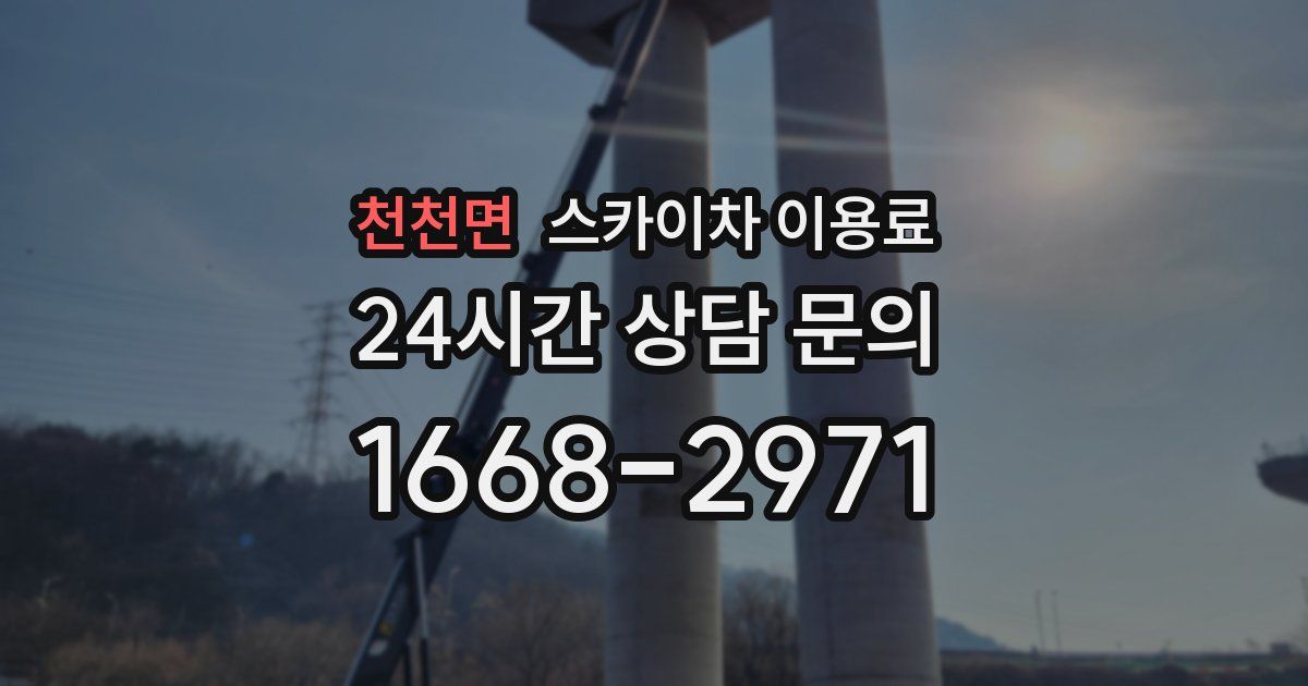 천천면 스카이차 이용료