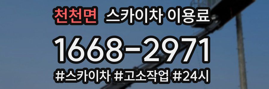 천천면 스카이차 이용료