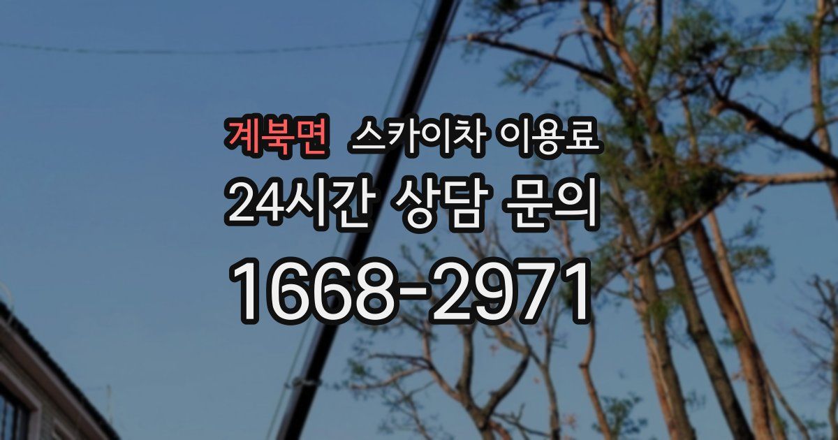 계북면 스카이차 이용료