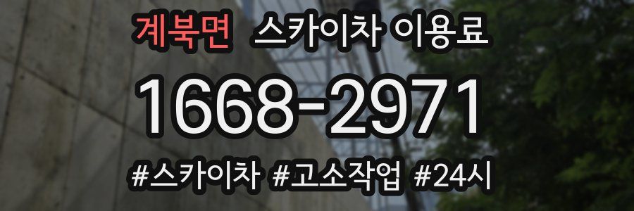 계북면 스카이차 이용료