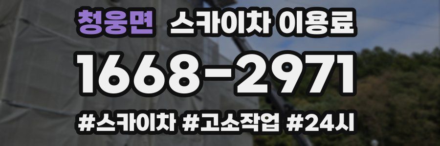 청웅면 스카이차 이용료
